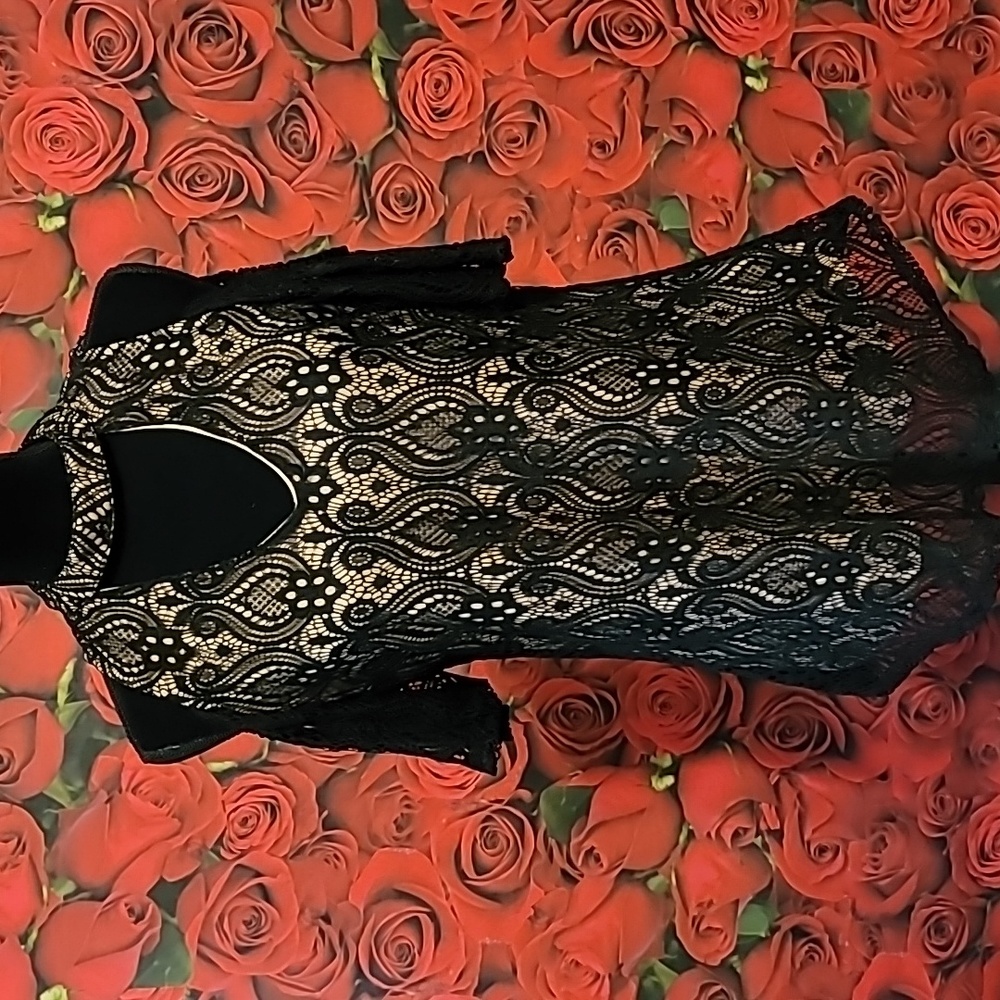 Sloan & Sadie Lace Top XL